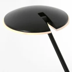 Luminaires Steinhauer Lampadaire Steinhauer Daphne LED Noir, 1 lumière* Éclairage Led