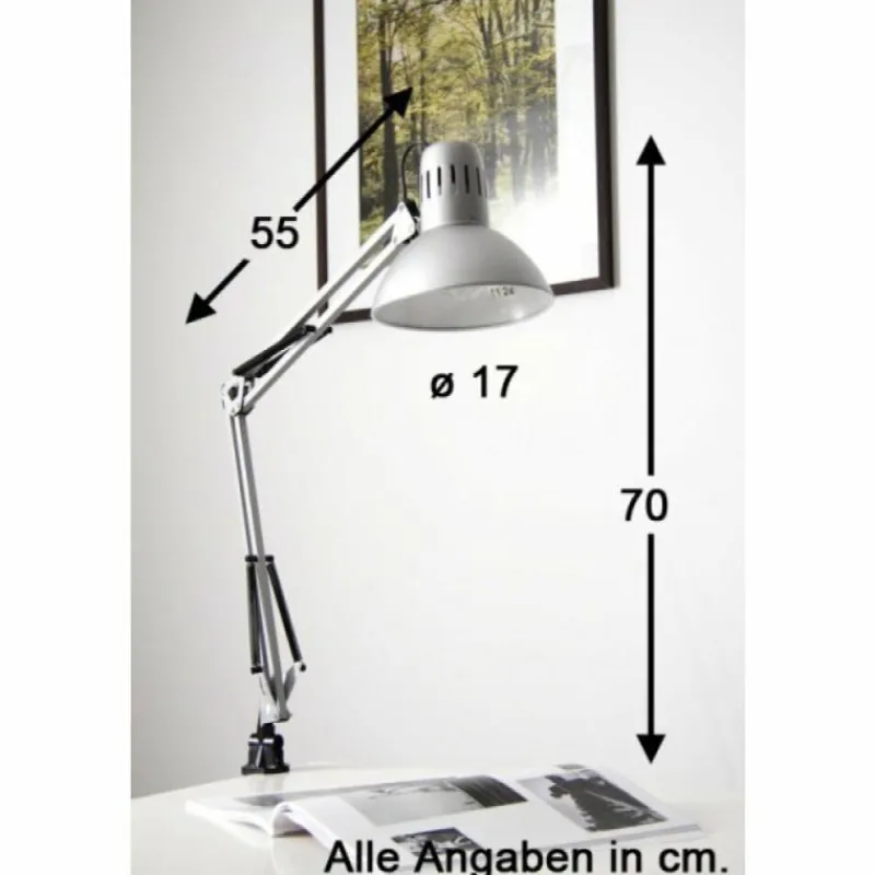 Luminaires Brilliant Lampe à pince Brilliant Hobby Acier inoxydable, Titane, 1 lumière* Lampes À Poser