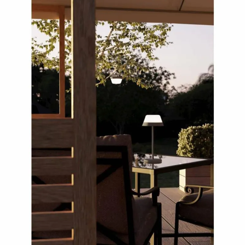 Luminaires Eglo Lampe à poser Eglo MEGGIANO LED Gris, 2 lumières