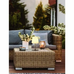 FHL easy Lampe à poser FHL-easy Garden LED Anthracite, 1 lumière, Changeur de couleurs