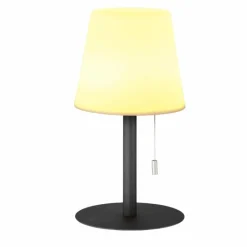 FHL easy Lampe à poser FHL-easy Garden LED Anthracite, 1 lumière, Changeur de couleurs