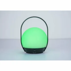 Luminaires Lutec Lampe à poser Lutec Cardi LED Noir, Blanc, 1 lumière, Changeur de couleurs