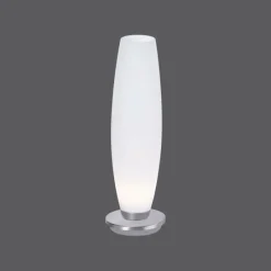 Luminaires Paul Neuhaus Lampe à poser Paul Neuhaus TYRA LED Acier inoxydable, 1 lumière