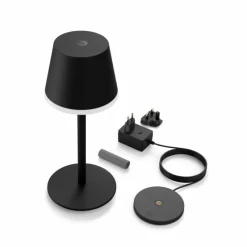 Luminaires Philips Lampe à poser Philips Hue Go LED Gris, Noir, 1 lumière, Changeur de couleurs
