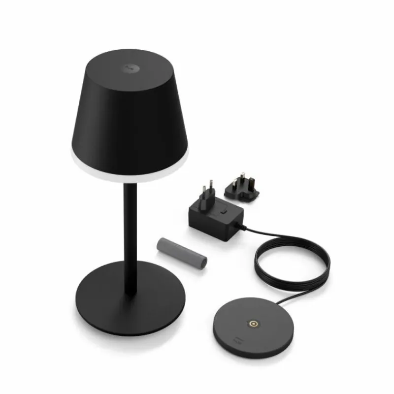 Luminaires Philips Lampe à poser Philips Hue Go LED Gris, Noir, 1 lumière, Changeur de couleurs