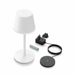 Luminaires Philips Lampe à poser Philips Hue Go LED Vert, Blanc, 1 lumière, Changeur de couleurs