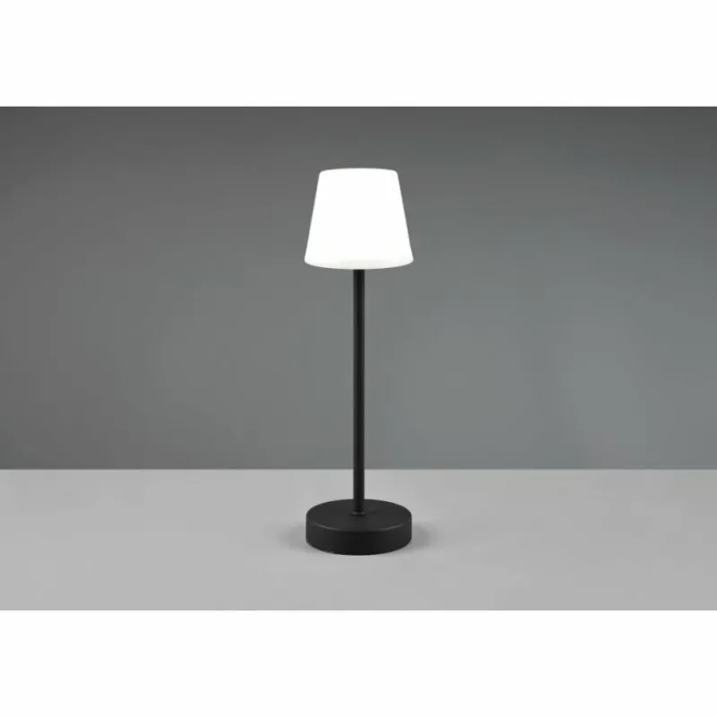 Luminaires Reality Lampe à poser Reality Martinez LED Noir, 1 lumière