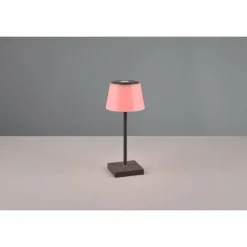 Luminaires Reality Lampe à poser Reality Sanchez LED Anthracite, 1 lumière, Changeur de couleurs