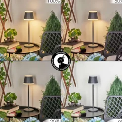 hofstein Lampe à poser Walt LED Anthracite, 1 lumière