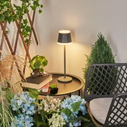 hofstein Lampe à poser Walt LED Anthracite, 1 lumière