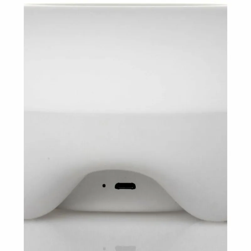 Luminaires Steinhauer Lampe avec détecteur Anne Lighting ANNE Blanc, 2 lumières, Détecteur de mouvement