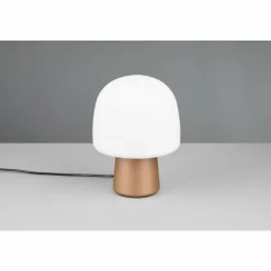 Luminaires Trio Lampe Champignon Steen Lampe à poser Brun, 1 lumière