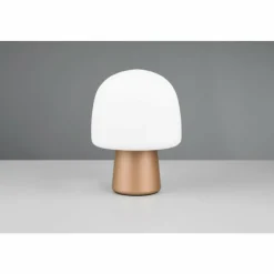 Luminaires Trio Lampe Champignon Steen Lampe à poser Brun, 1 lumière