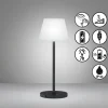 FHL easy Lampe de table Flus LED Noir, 1 lumière