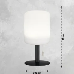 FHL easy Lampe de table Larino LED Anthracite, 1 lumière, Changeur de couleurs* Éclairage Led