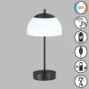 FHL easy Lampe de table Riva LED Noir, 1 lumière