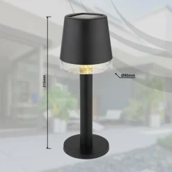 Luminaires Globo Lighting Lampe de table Globo SOLAR LED Noir, Transparent, 1 lumière