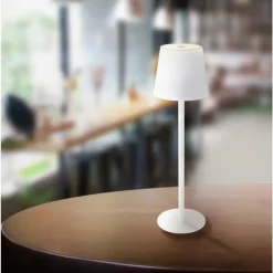 Luminaires Globo Lighting Lampe de table Globo VANNIE LED Blanc, 1 lumière