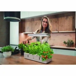 Luminaires Ledvance Lampe de table LEDVANCE Indoor Garden Blanc, 1 lumière* Éclairage Led