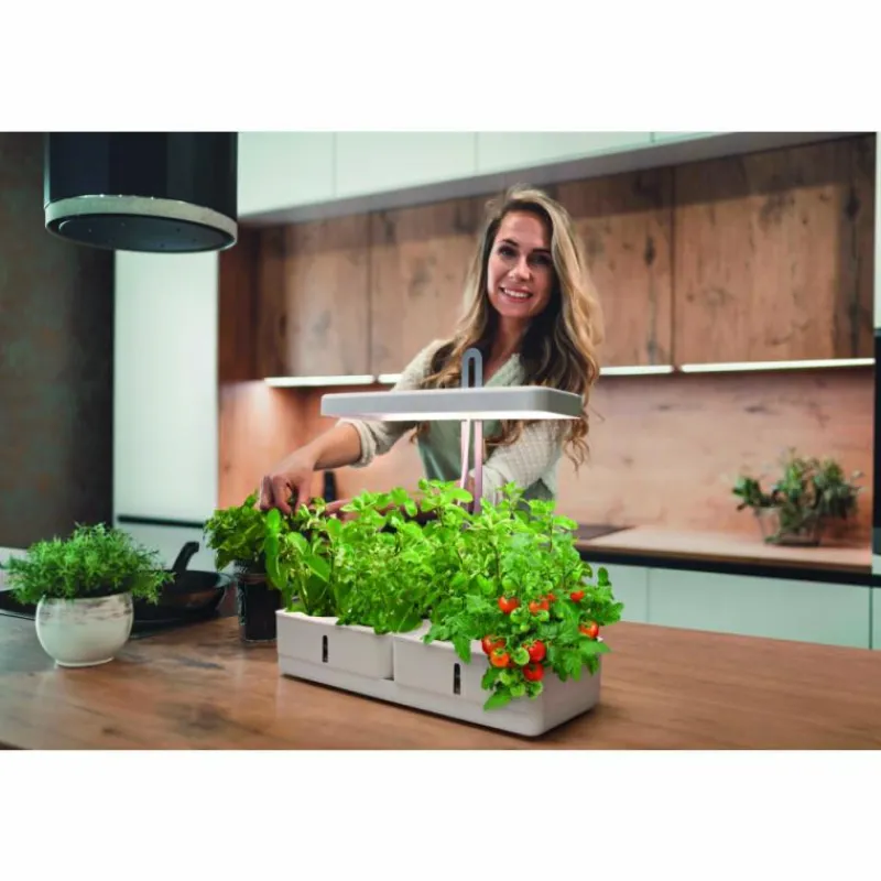 Luminaires Ledvance Lampe de table LEDVANCE Indoor Garden Blanc, 1 lumière* Éclairage Led