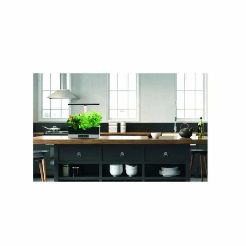 Luminaires Ledvance Lampe de table LEDVANCE Indoor Garden Noir, 1 lumière* Éclairage Led