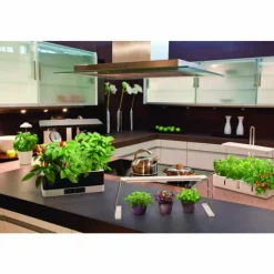 Luminaires Ledvance Lampe de table LEDVANCE Indoor Garden Noir, 1 lumière* Éclairage Led