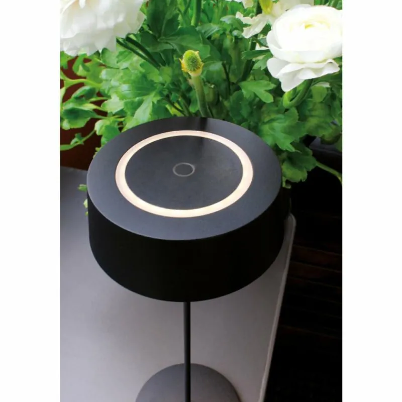 Luminaires Lutec Lampe de table Lutec COCKTAIL LED Noir, 1 lumière