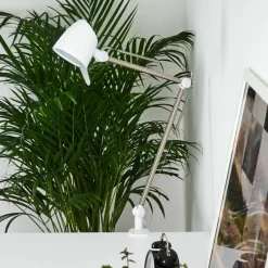 hofstein Lampe de table Mildura LED Blanc, 1 lumière* Lampes À Poser