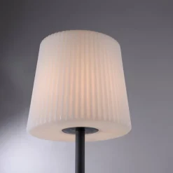 Luminaires Paul Neuhaus Lampe de table Paul Neuhaus FALTER Anthracite, 1 lumière