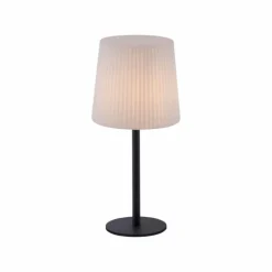 Luminaires Paul Neuhaus Lampe de table Paul Neuhaus FALTER Anthracite, 1 lumière