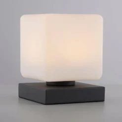 Luminaires Paul Neuhaus Lampe de table Paul Neuhaus DADOA LED Anthracite, 1 lumière