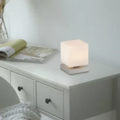 Luminaires Paul Neuhaus Lampe de table Paul Neuhaus DADOA LED Acier brossé, 1 lumière