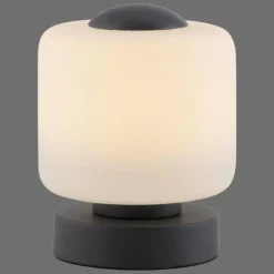 Luminaires Paul Neuhaus Lampe de table Paul Neuhaus BOTA LED Anthracite, 1 lumière