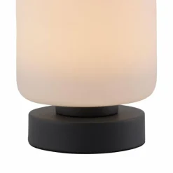 Luminaires Paul Neuhaus Lampe de table Paul Neuhaus BOTA LED Anthracite, 1 lumière