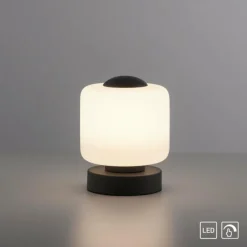 Luminaires Paul Neuhaus Lampe de table Paul Neuhaus BOTA LED Anthracite, 1 lumière