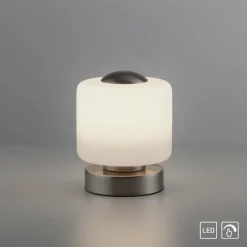 Luminaires Paul Neuhaus Lampe de table Paul Neuhaus BOTA LED Acier brossé, 1 lumière