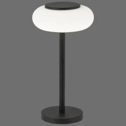 Paul Neuhaus Q-Serie Lampe de table Paul Neuhaus Q-ETIENNE LED Noir, 1 lumière, Télécommandes