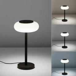 Paul Neuhaus Q-Serie Lampe de table Paul Neuhaus Q-ETIENNE LED Noir, 1 lumière, Télécommandes