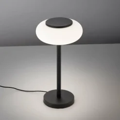 Paul Neuhaus Q-Serie Lampe de table Paul Neuhaus Q-ETIENNE LED Noir, 1 lumière, Télécommandes