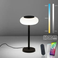 Paul Neuhaus Q-Serie Lampe de table Paul Neuhaus Q-ETIENNE LED Noir, 1 lumière, Télécommandes