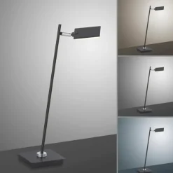 Luminaires Paul Neuhaus Lampe de table Paul Neuhaus PURE-MIRA LED Noir, 1 lumière, Télécommandes* Éclairage Led