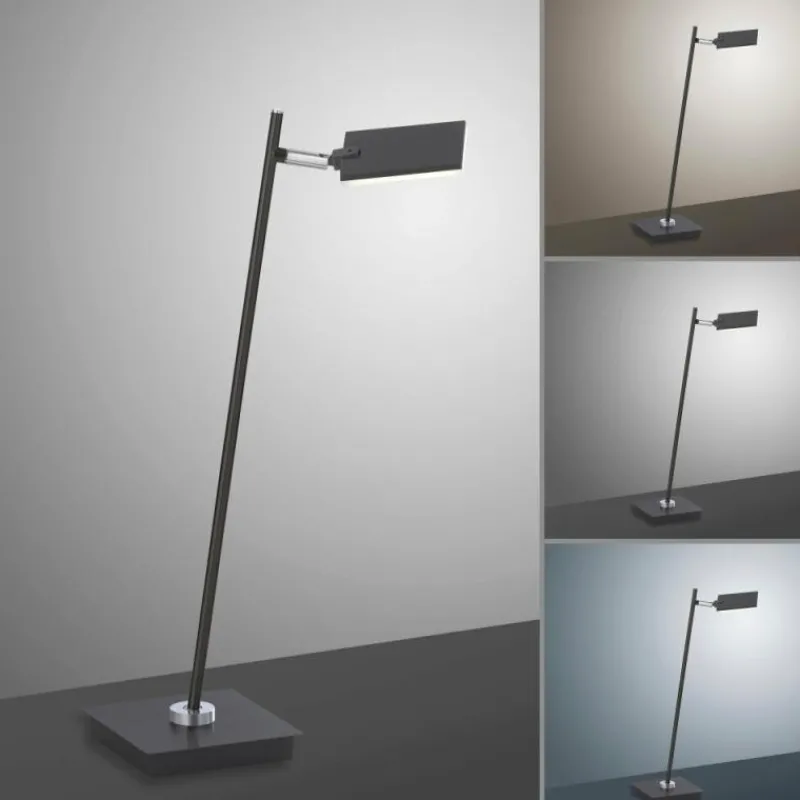 Luminaires Paul Neuhaus Lampe de table Paul Neuhaus PURE-MIRA LED Noir, 1 lumière, Télécommandes* Éclairage Led
