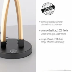 Lampes Dorées-Luminaires Paul Neuhaus Lampe de table Paul Neuhaus POLINA LED Noir, 1 lumière