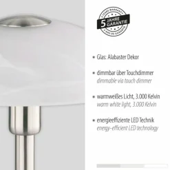 Luminaires Paul Neuhaus Lampe de table Paul Neuhaus ENOVA LED Argenté, 1 lumière