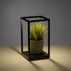 Luminaires Paul Neuhaus Lampe de table Paul-Neuhaus CONTURA LED Noir, 2 lumières* Éclairage Led