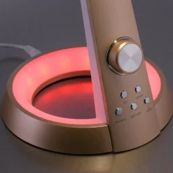 Luminaires Paul Neuhaus Lampe de table Paul-Neuhaus BILL LED Laiton, 2 lumières* Lampes À Poser