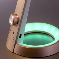 Luminaires Paul Neuhaus Lampe de table Paul-Neuhaus BILL LED Laiton, 2 lumières* Lampes À Poser