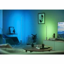 Luminaires Philips Lampe de table Philips Hue Gradient Signe LED Blanc, 1 lumière, Changeur de couleurs