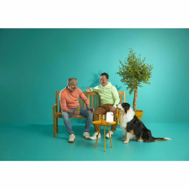 Luminaires Philips Lampe de table Philips WiZ Portable LED Blanc, 1 lumière, Changeur de couleurs