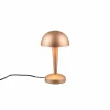 Luminaires Reality Lampe de table Reality CANARIA LED Brun, 1 lumière* Lampes À Poser